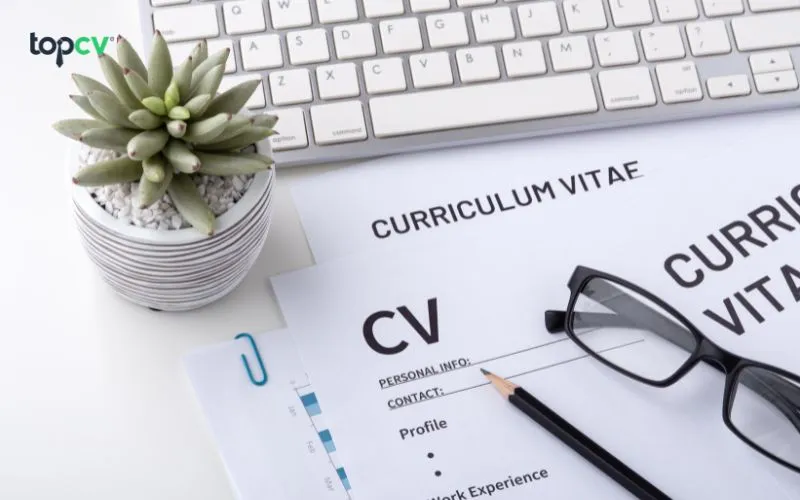 Biết cách viết thông tin cá nhân trong CV hiệu quả sẽ giúp bạn ghi điểm trong mắt nhà tuyển dụng