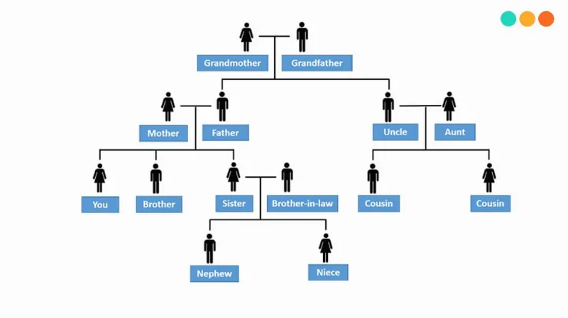 Cùng NativeX học từ vựng về Gia đình trong tiếng Anh