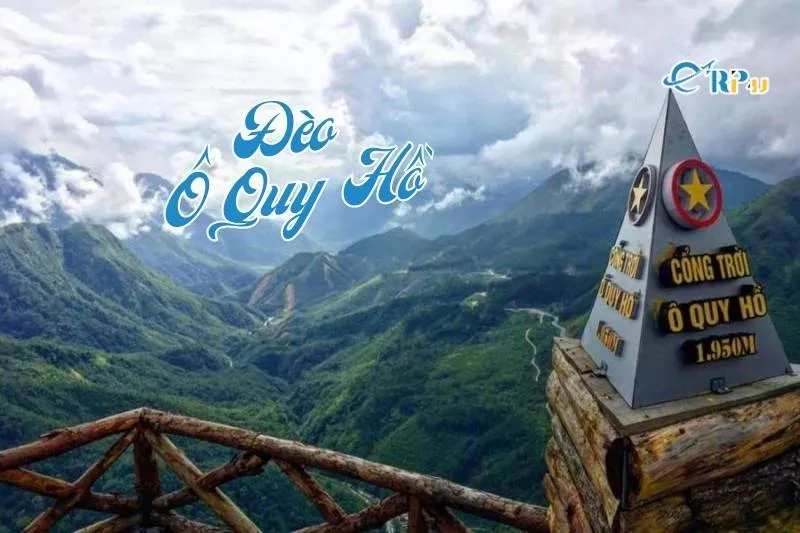 đ&egrave;o &ocirc; quy hồ