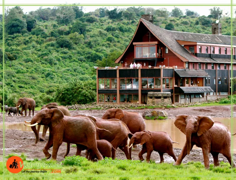 du lịch châu phi vietmytravel