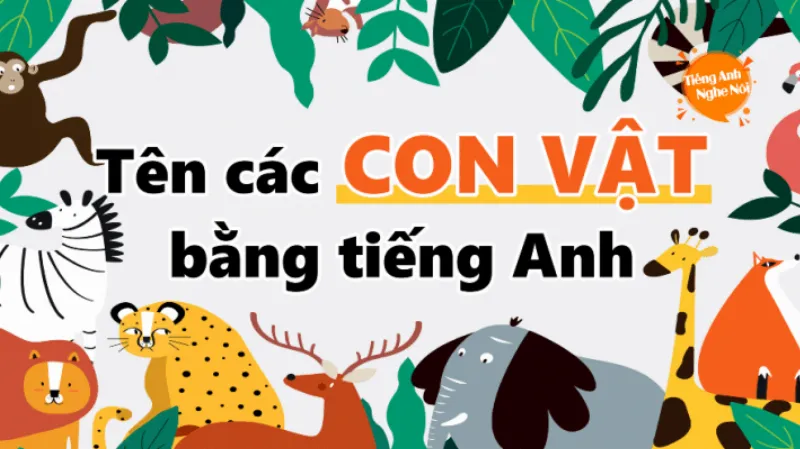 Hình ảnh minh họa cho chủ đề từ vựng tiếng Anh về con vật