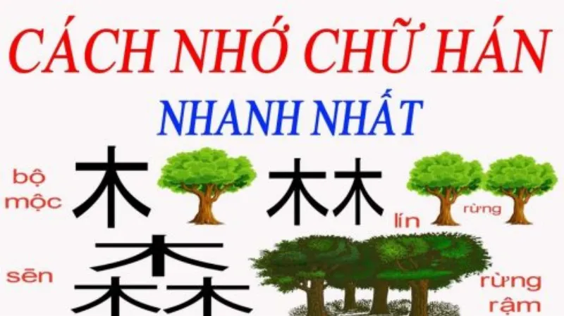 Học chữ Hán hiệu quả