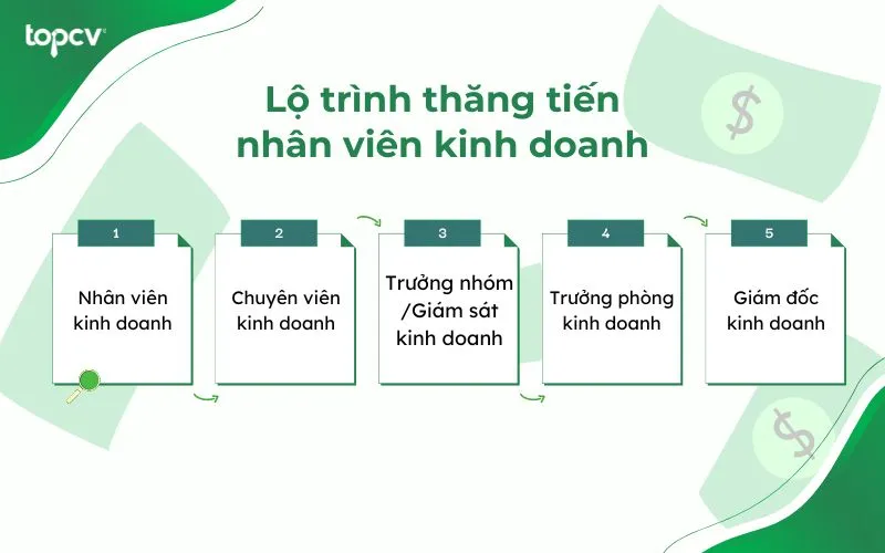 Lộ trình thăng tiến của nhân viên kinh doanh