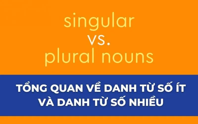 Minh họa về danh từ số nhiều