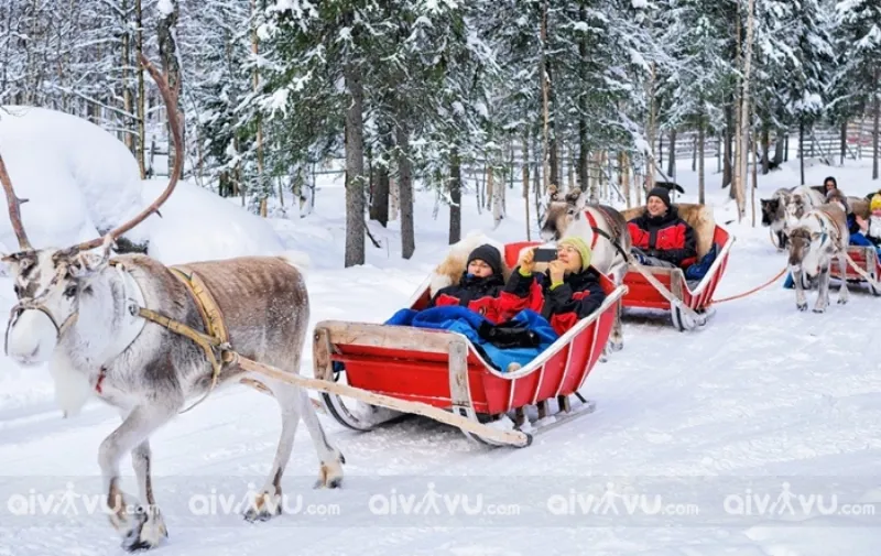 Thành phố Lapland 