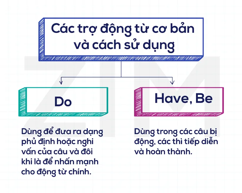 trợ động từ cơ bản