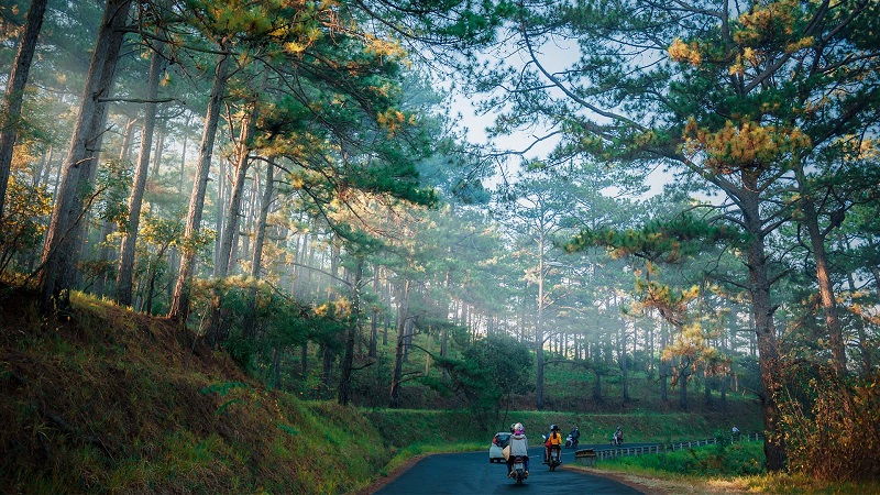 tu buon ma thuot den da lat mat bao nhieu km h1