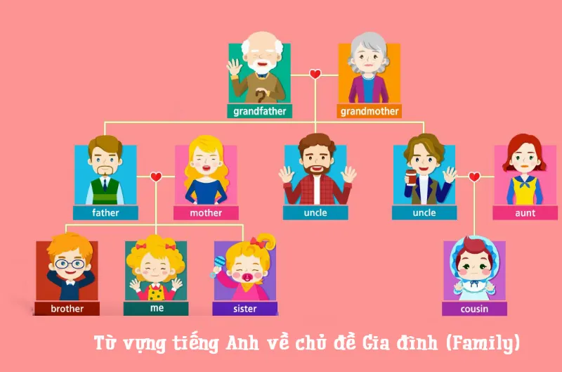 Từ vựng gia đình tiếng Anh - Người trong gia đình tiếng Anh