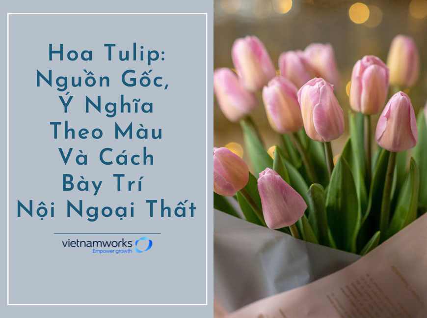 y nghia hoa tulip